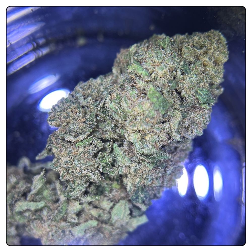ROYAL BERRY