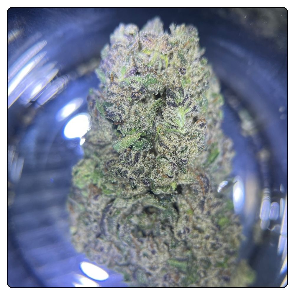 BLUE CHEESE