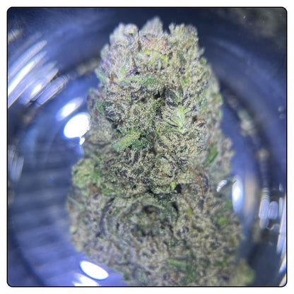 BLUE CHEESE