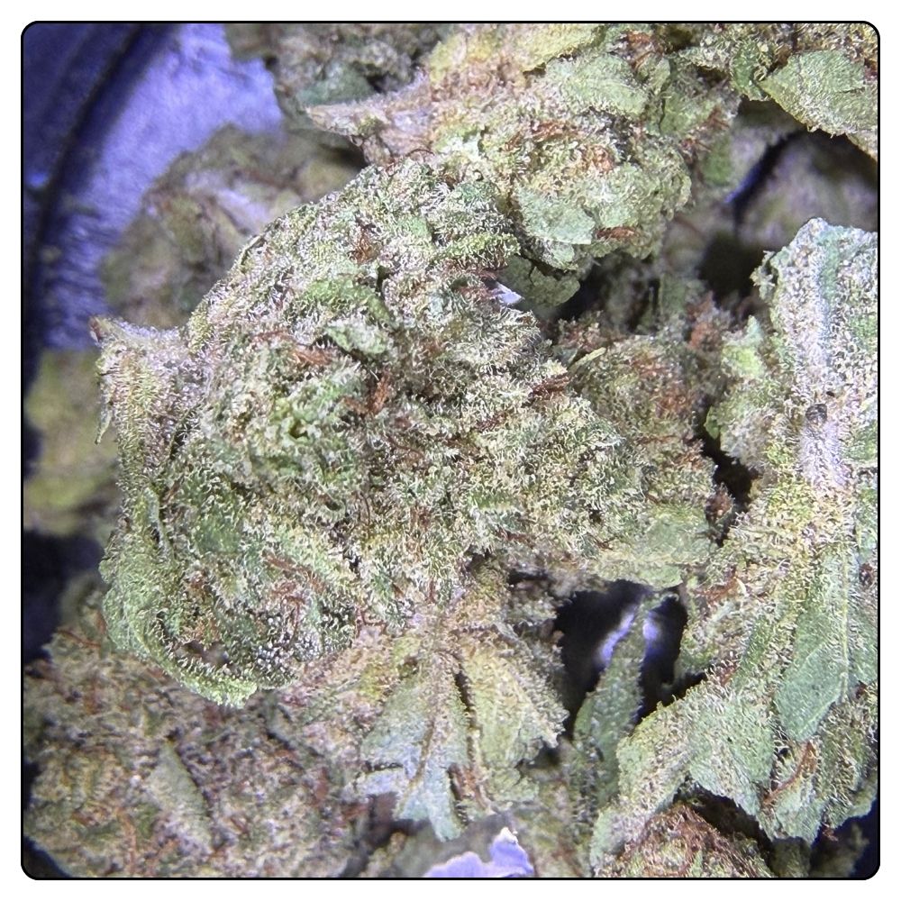 CHERRY PIE