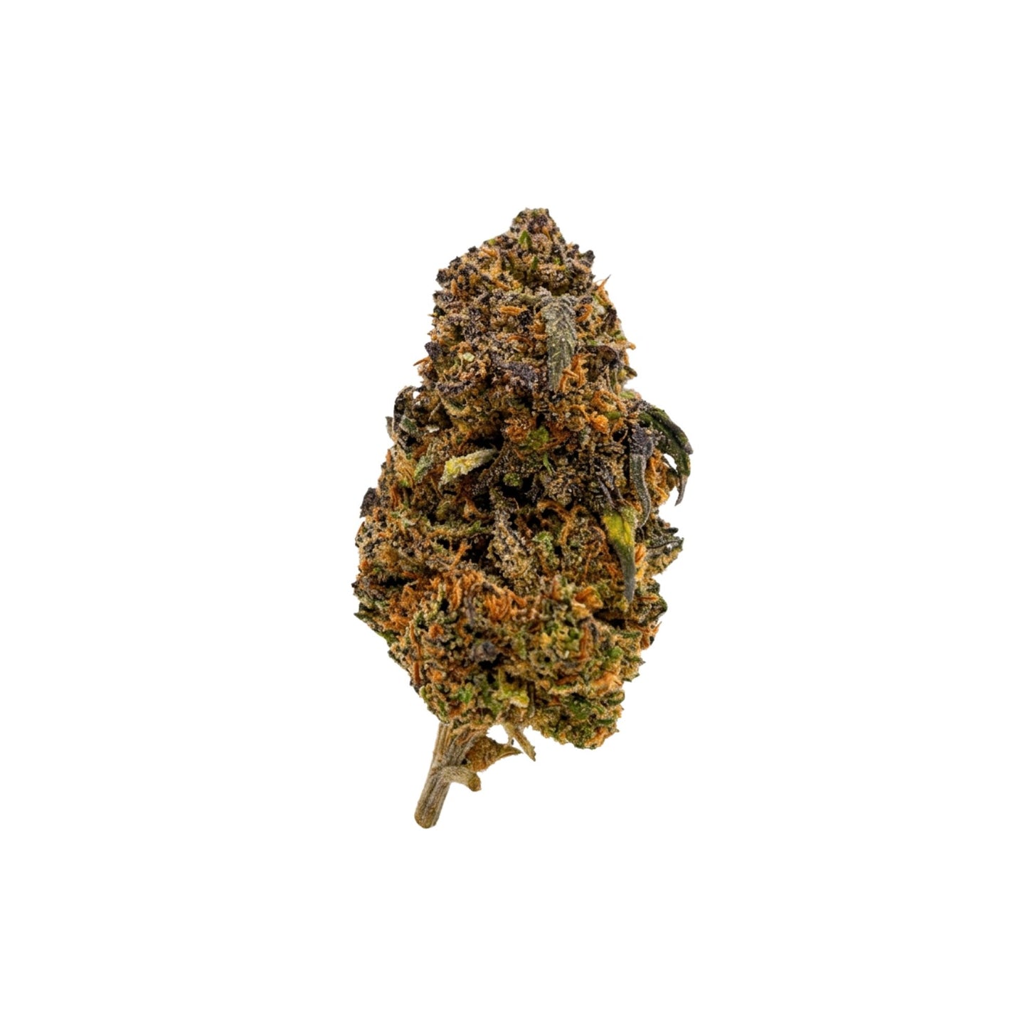 BLUEBERRY MUFFIN