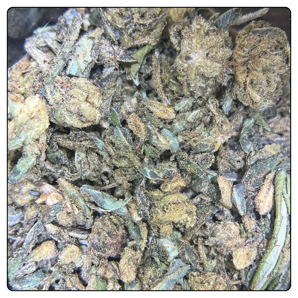 TRIM BLUEBERRY 25G