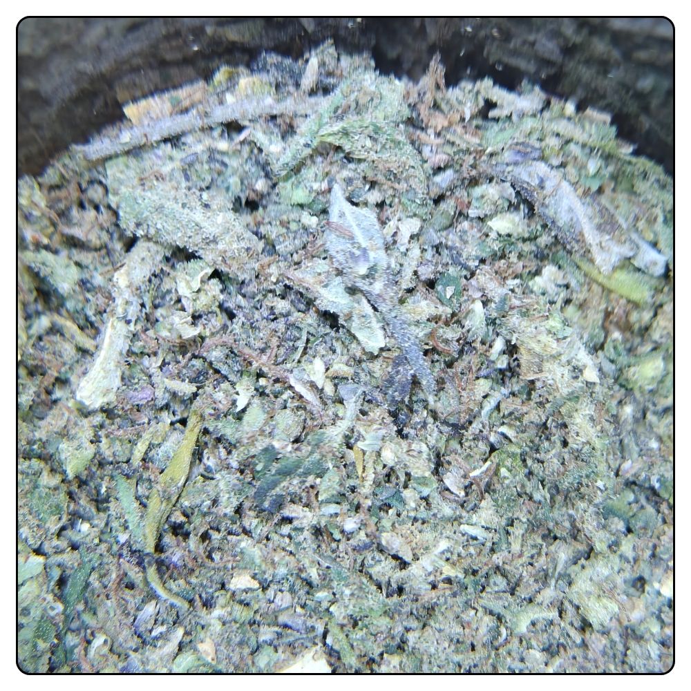 TRIM INDOOR